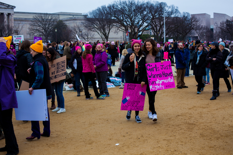 Illustration for article titled WOMEN'S MARCH ON WASHINGTON : THE SIGNS